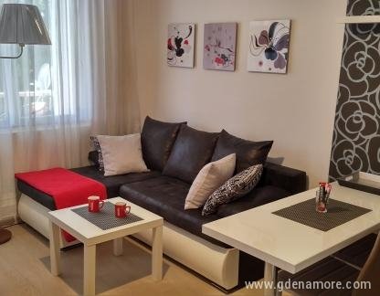 Apartments AMFORA - Apartment A2, private accommodation in city Igalo, Montenegro - 02a